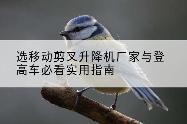 仙桃电动升降机厂家-选移动剪叉升降机厂家与登高车必看实用指南