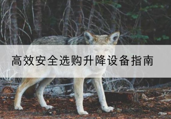 仙桃升降货梯厂家推荐-*安全选购升降设备指南
